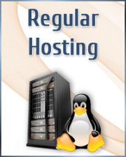(image for) Business Hosting